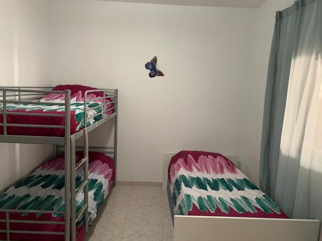 Tres Habitaciones Privadas 4Huespedes 4Huespedes 2Huespedes Piso A Compartir La Laguna  Bagian luar foto